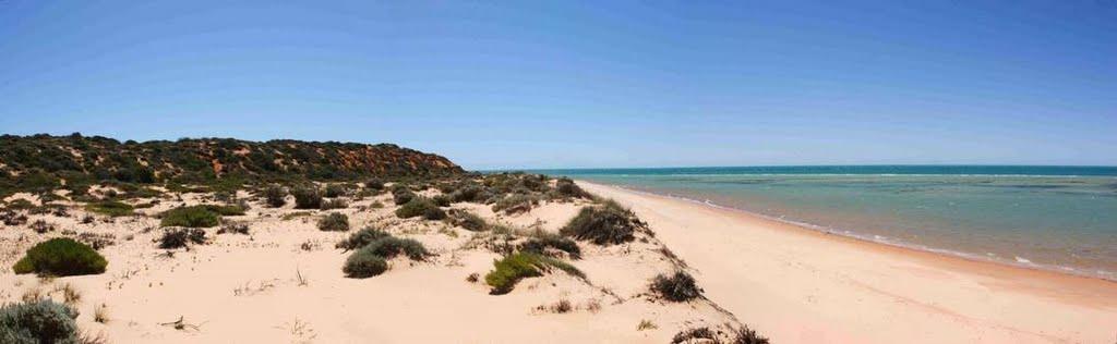 Sandee - Whalebone Bay