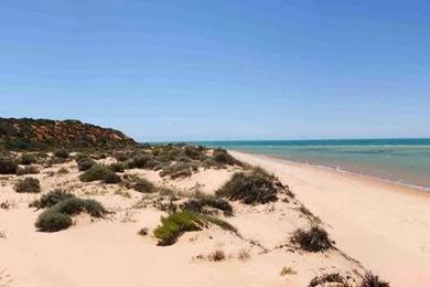 Sandee - Whalebone Bay