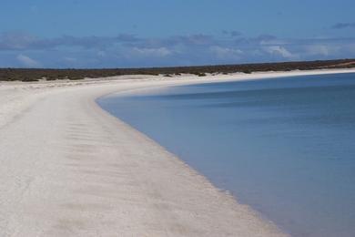 Sandee - Denham Beach