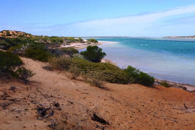 Sandee Big Lagoon