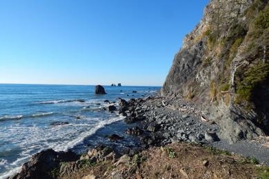 Sandee Damnation Creek Beach