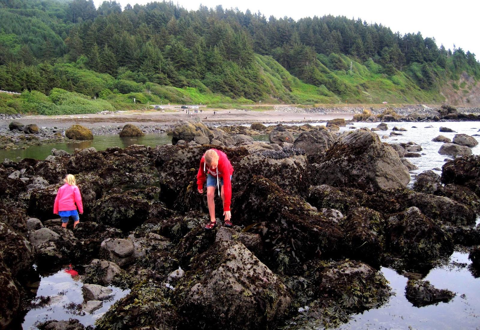 Sandee - Crescent Beach