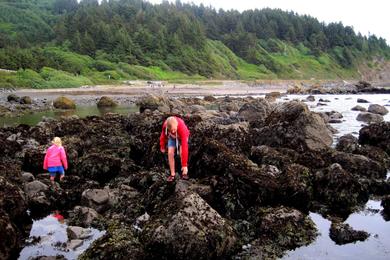 Sandee - Crescent Beach