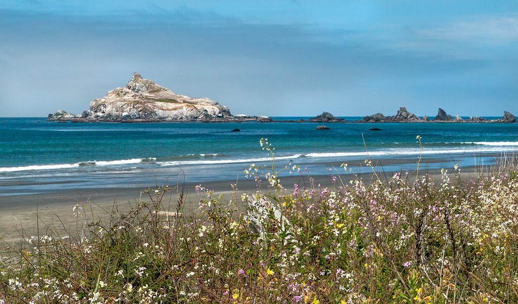 Sandee Crescent Beach
