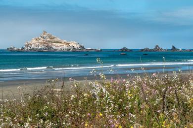 Sandee Crescent Beach