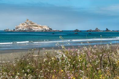 Sandee Crescent Beach Photo