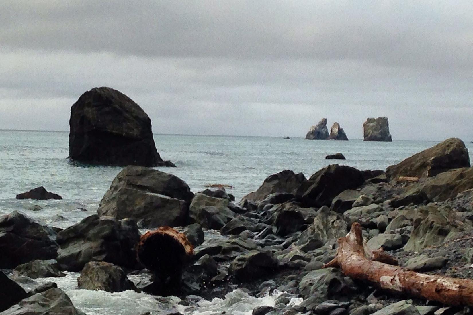 Sandee - Damnation Creek Beach