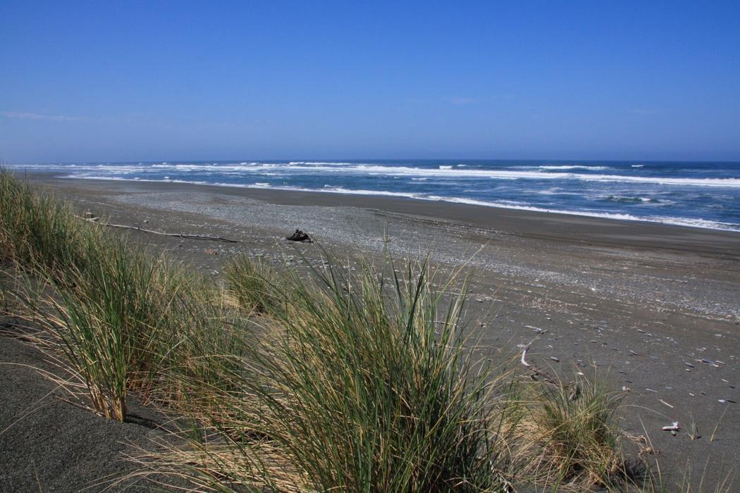 Sandee Tolowa Dunes State Park - North Beach Photo