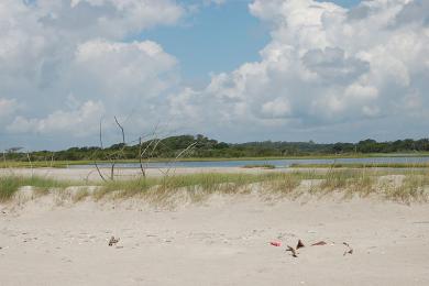 Sandee Onslow Beach