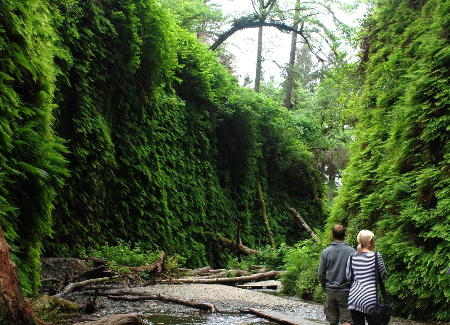 Sandee - Fern Canyon Beach