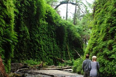 Sandee - Fern Canyon Beach