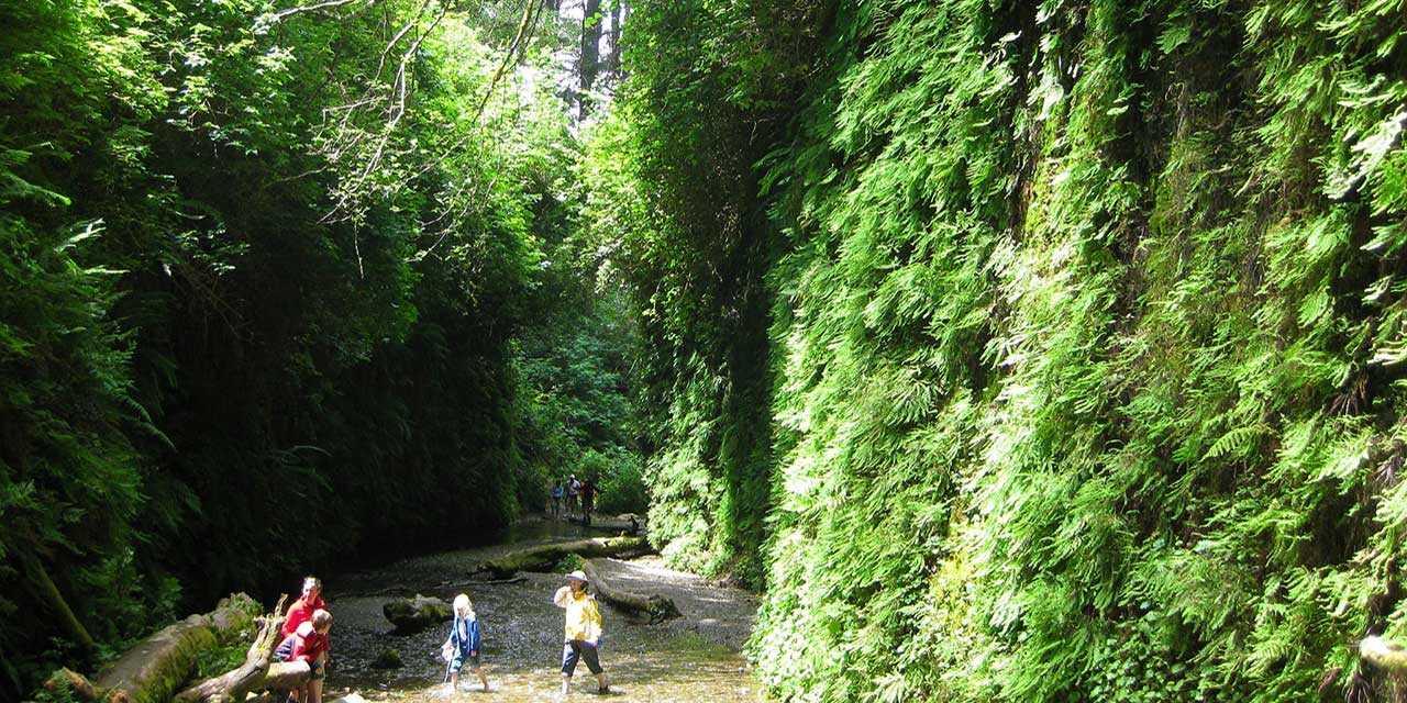 Sandee - Fern Canyon Beach