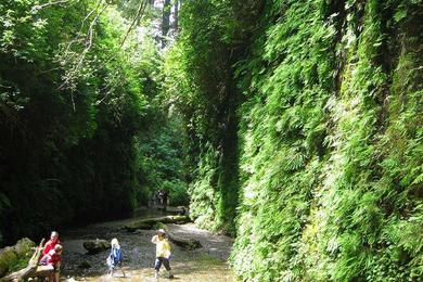 Sandee - Fern Canyon Beach