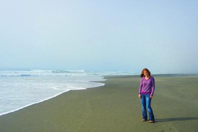 Sandee - Fern Canyon Beach