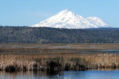 Sandee Humboldt Bay National Wildlife Refuge Photo