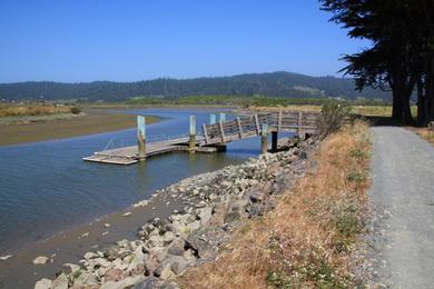 Sandee Mike Thompson Wildlife Area - Table Bluff County Park Beach