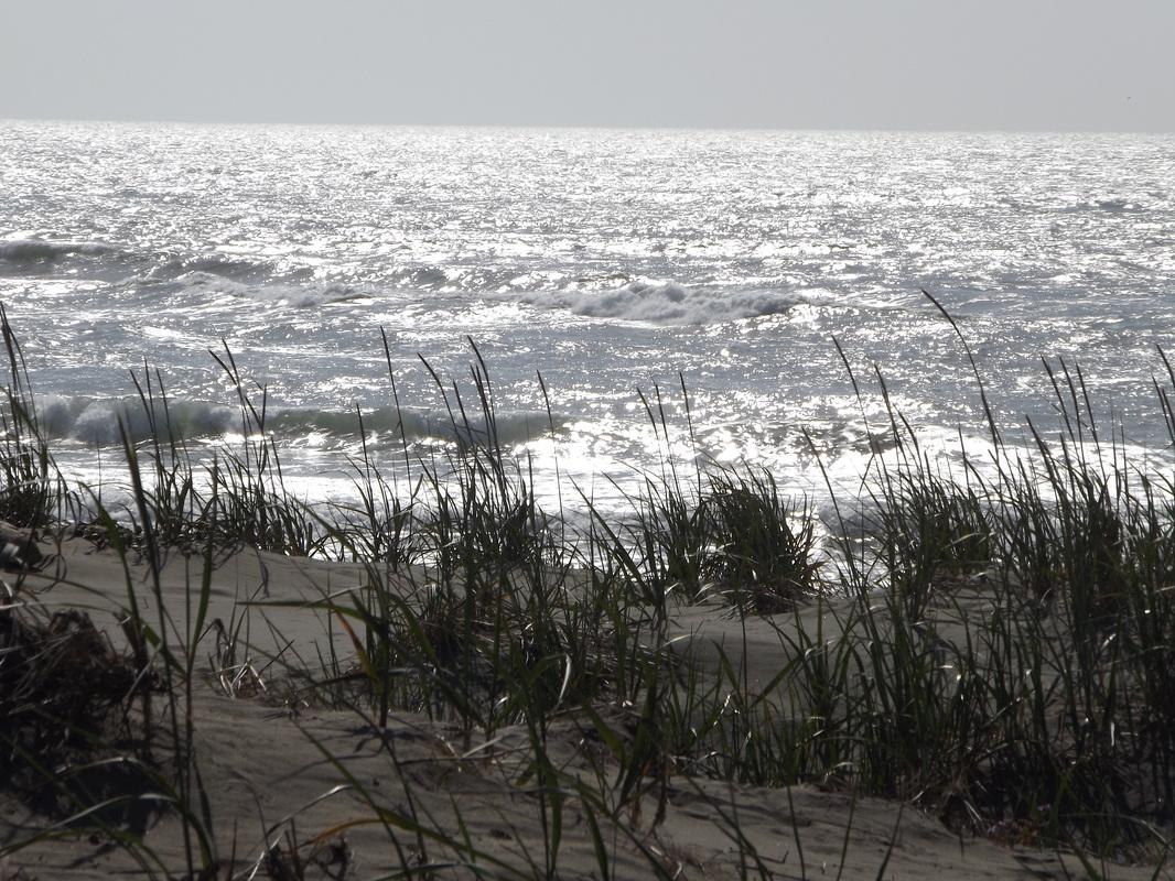 Sandee - Ma-Le'L Dunes - South Beach