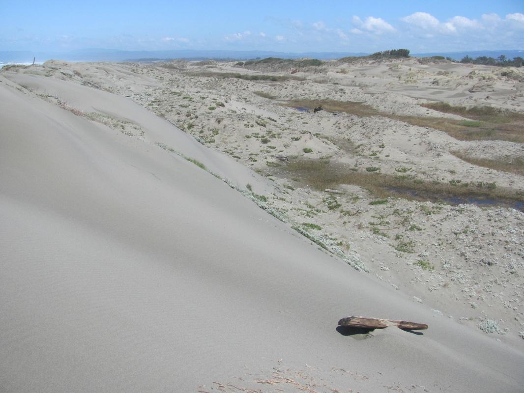 Sandee - Ma-Le'L Dunes - South Beach