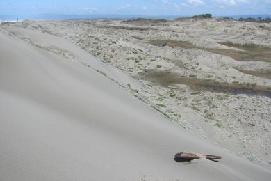 Sandee - Ma-Le'L Dunes - South Beach