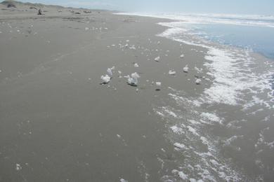 Sandee Ma-Le'L Dunes - North Beach