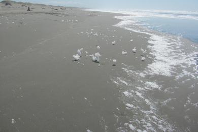 Sandee Ma-Le'L Dunes - North Beach Photo