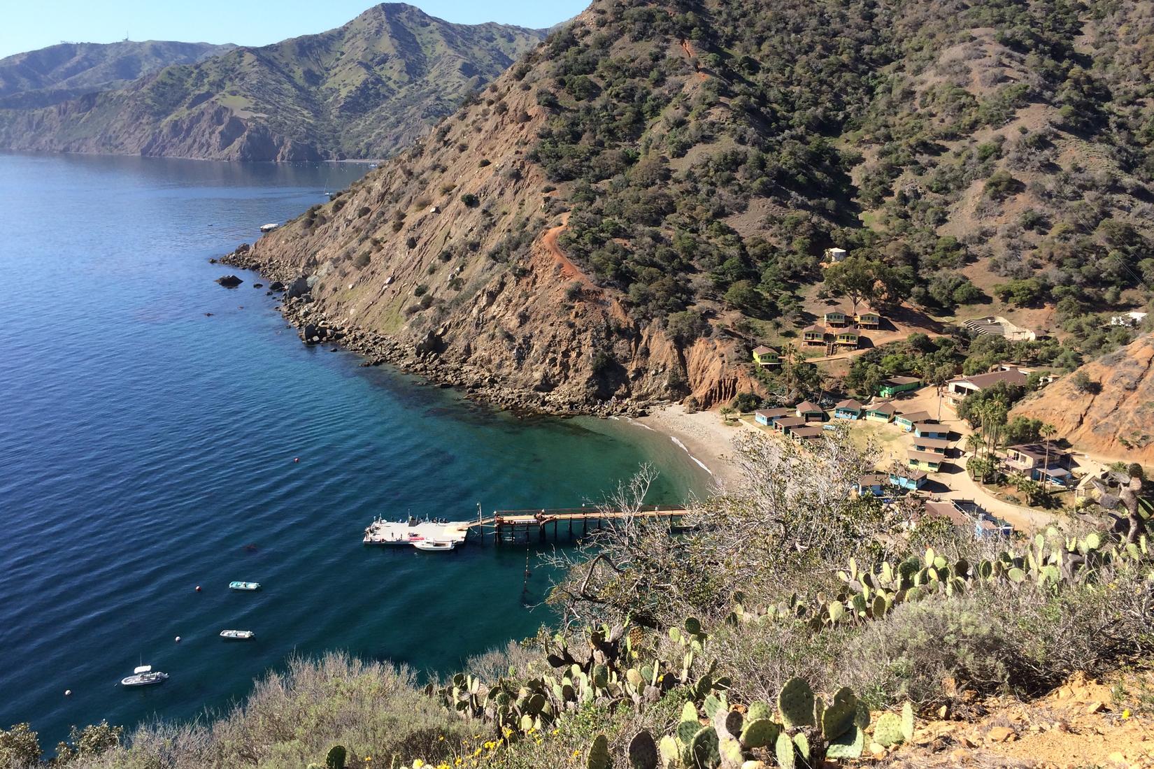 Santa Catalina Island Photo - Sandee