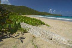 Sandee - Corbec Bay Beach