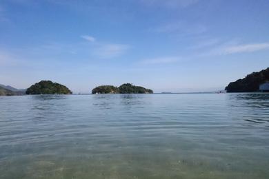 Sandee Praia Dos Macacos