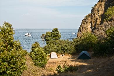 Sandee Willow Cove