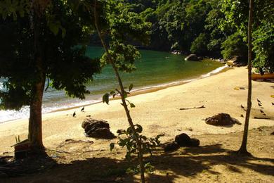 Sandee Guaxuma Beach Photo