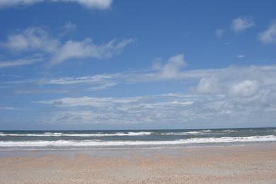 Sandee - Mickler's Landing Beach Park