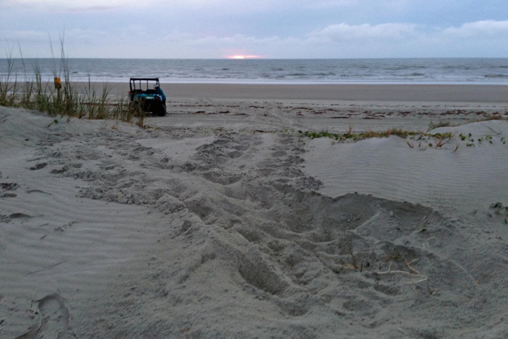 Sandee - Mickler's Landing Beach Park