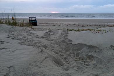 Sandee - Mickler's Landing Beach Park