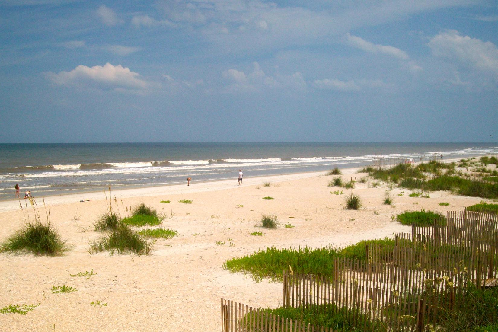 Sandee - Mickler's Landing Beach Park