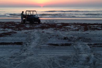 Sandee - Mickler's Landing Beach Park