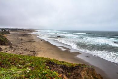 Sandee Mattole Road Beaches - Domino Creek Beach Photo