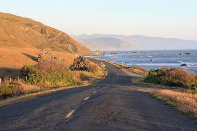 Sandee - Mattole Road Beaches - Davis Creek Beach