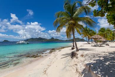 Sandee Palm Island