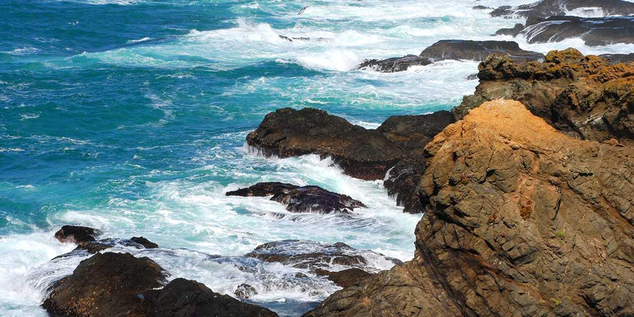 Sandee - Seal Rock Beach