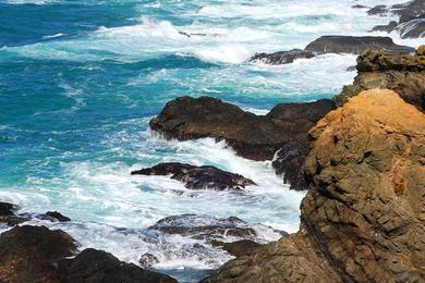 Sandee - Seal Rock Beach