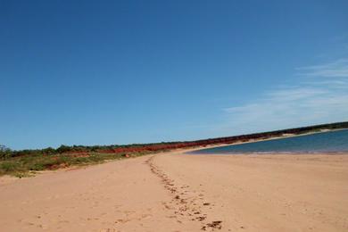 Sandee - Whale Song Beach