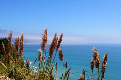 Sandee - Mill Creek Picnic Area Beach