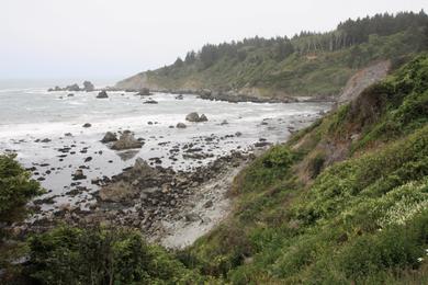 Sandee - Patrick's Point State Park - Palmer's Point