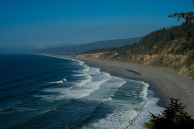 Sandee - Patrick's Point State Park - Palmer's Point