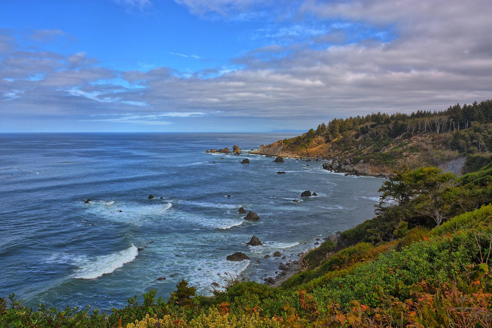 Sandee - Patrick's Point State Park - Palmer's Point