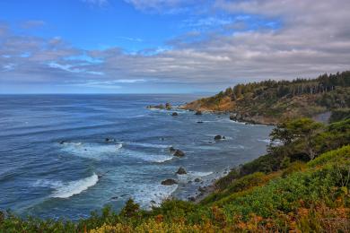 Sandee Patrick's Point State Park - Palmer's Point
