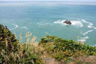 Sandee - Patrick's Point State Park - Wedding Rock