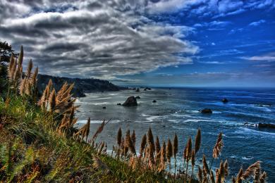 Sandee - Patrick's Point State Park - Palmer's Point