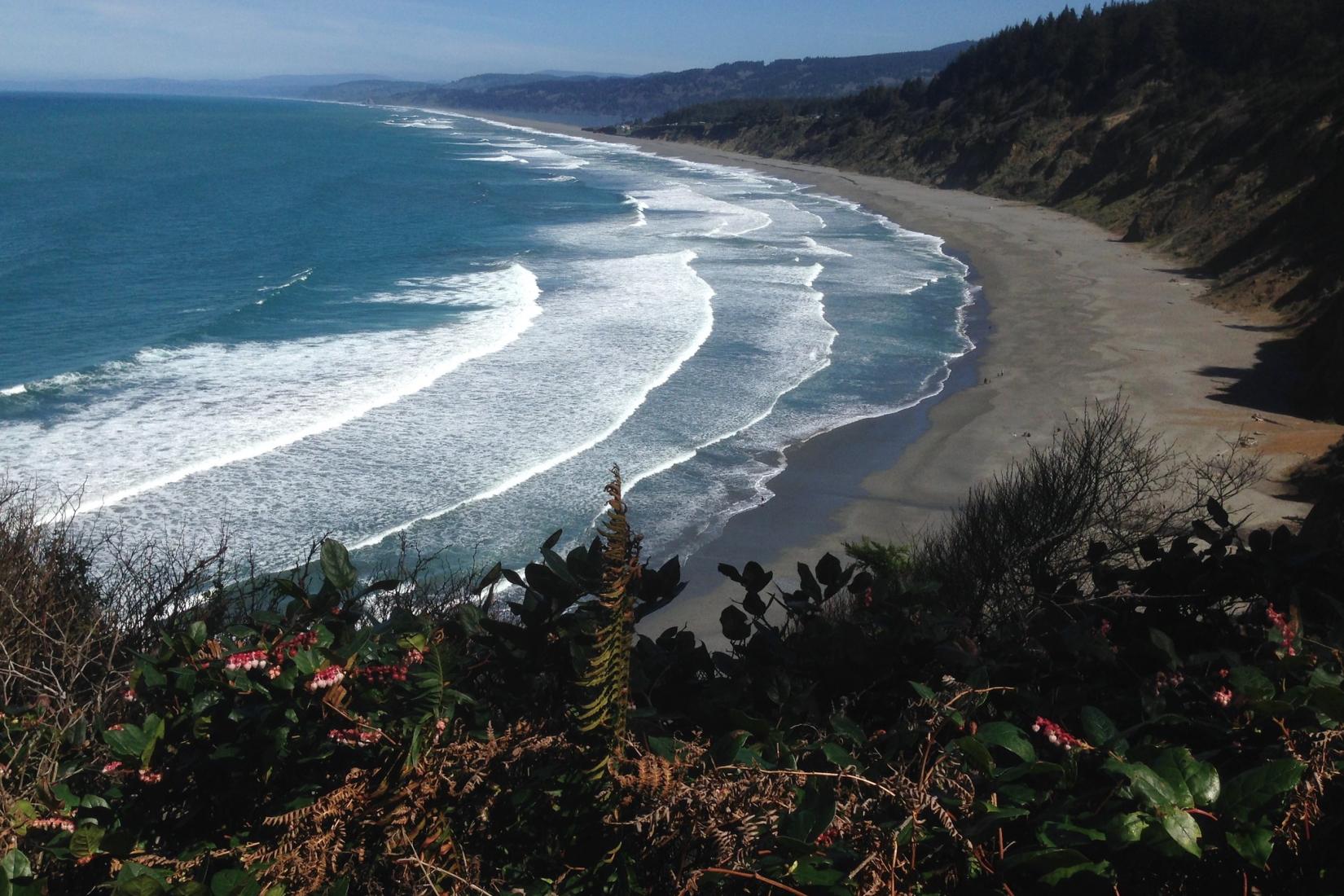 Sandee - Patrick's Point State Park - Palmer's Point