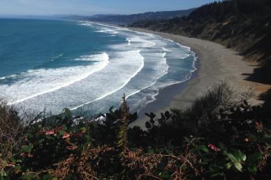 Sandee - Patrick's Point State Park - Palmer's Point